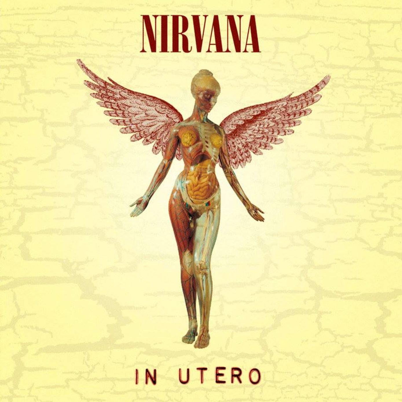 Nirvana portada album IN UTERO Puzzle cuadrado 500 Piezas 39 x 39 cms. –  KraftwerkMusik