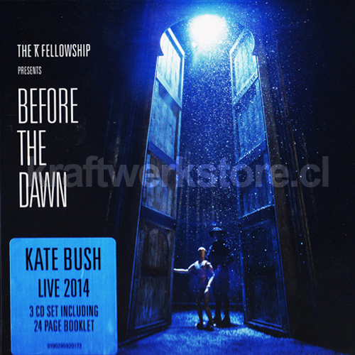 Kate Bush Before The Down