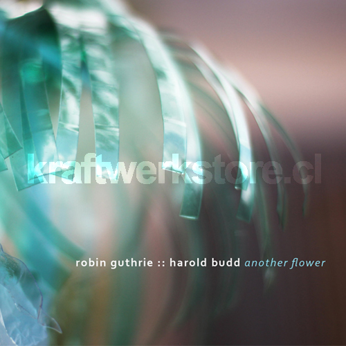 Robin Guthrie Flowers