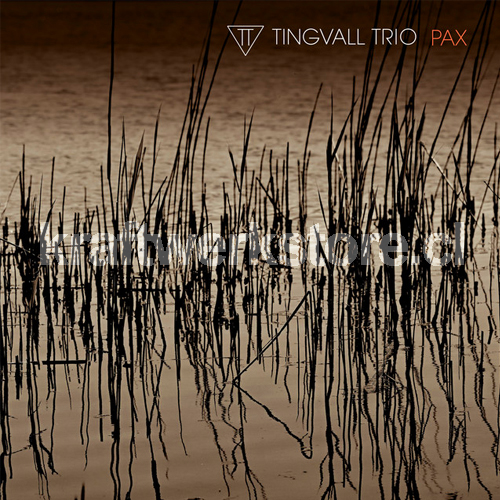 Tingvall Trio PAX