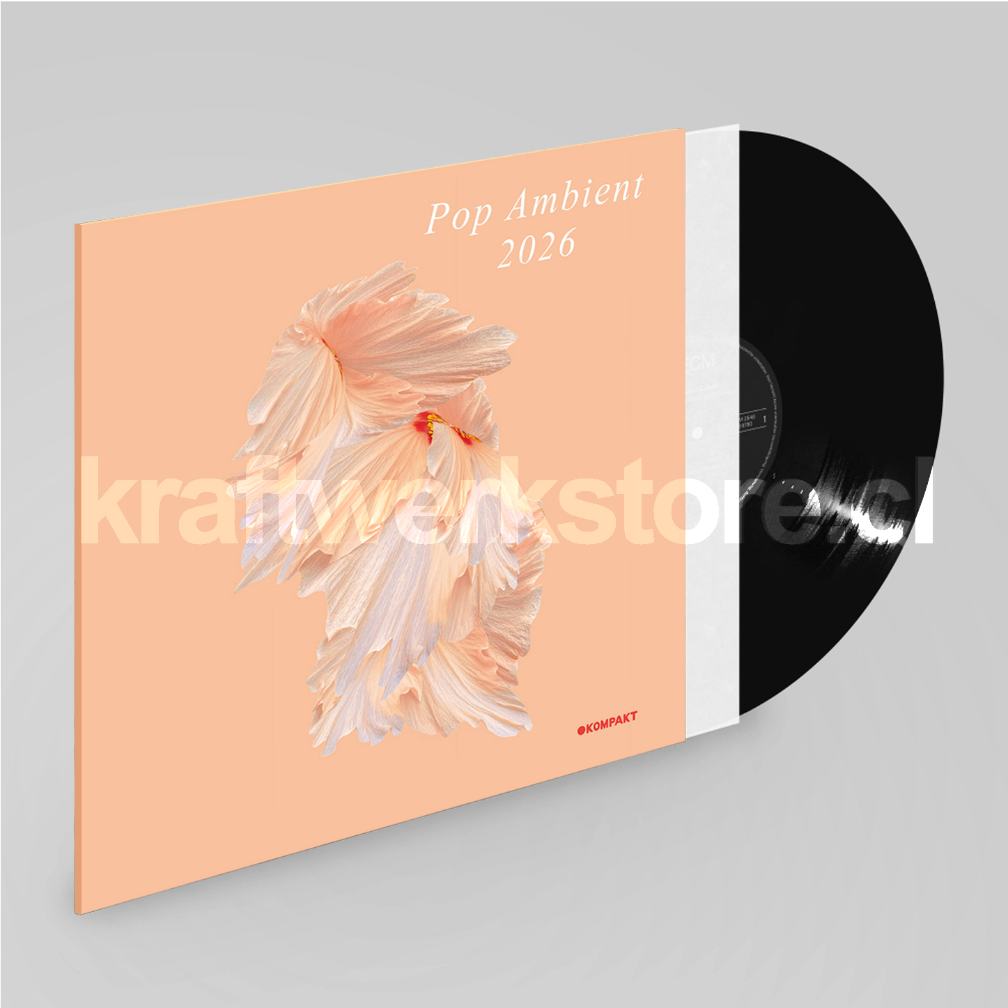 Pop Ambient 2026 LP